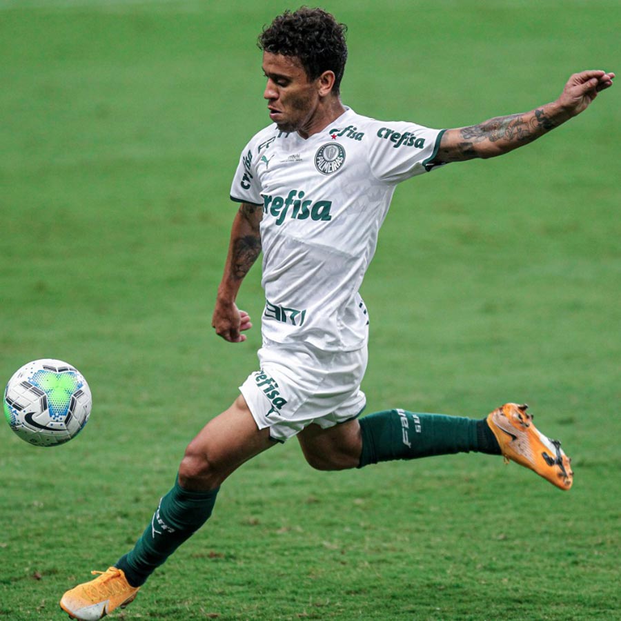 marcos-rocha-palmeiras